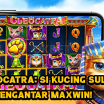 Cleocatra: Si Kucing Sultan Pengantar Maxwin!